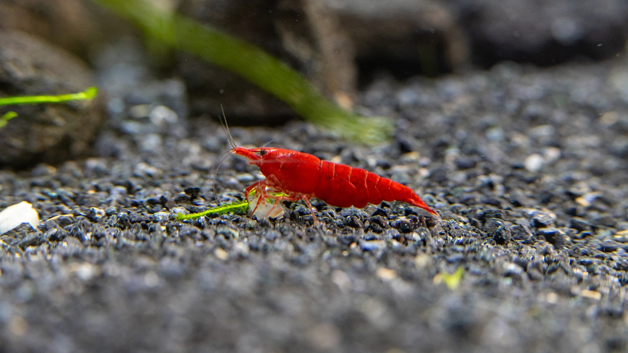 1778436308-banner-DSC08341.webp